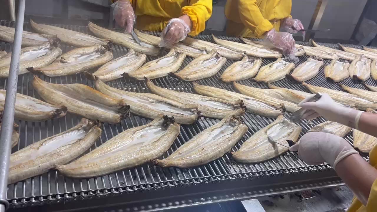 蒲燒鰻魚生產線影片1